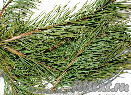 Приготовить сосновые ветки.