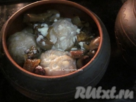 Сметану (у меня был йогурт) развести с водичкой и вылить в горшок. Воды налить на 3/4 горшка. Ещё немного посолить.
