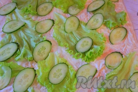 Огурец тонко нарезать и разложить также по всему периметру лаваша.