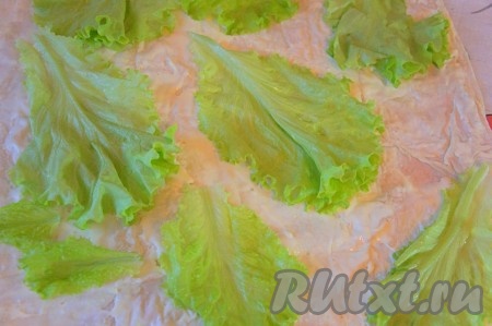 Салатные листья вымыть, обсушить, разложить по всему лавашу.
