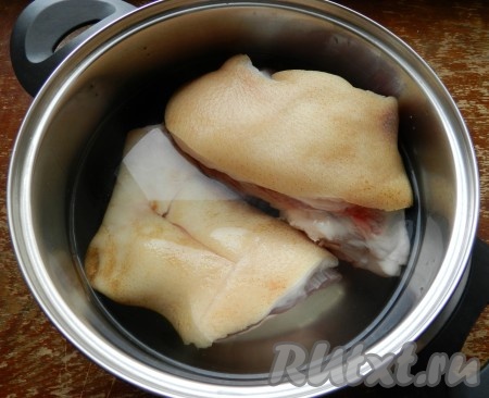 Разрубленную свиную рульку положить в кастрюлю, залить водой, чтобы вода была выше уровня рульки на 1,5-2 сантиметра и поставить на огонь. Когда вода закипит, тщательно снять пену, добавить очищенную луковицу, уменьшить огонь и варить 1 час.