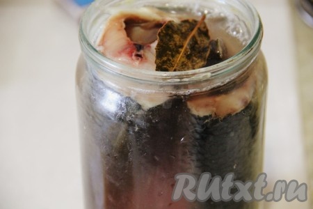 Залить сельдь в банке остывшим рассолом, положить пару листочков лаврового листа и половину специй из рассола, закрыть крышкой и поставить в холодильник. Через сутки рыбку уже можно пробовать, но она будет малосольной. Если хотите, чтобы селёдка стала более солёной и пряной, тогда оставьте рыбу просаливаться ещё на 24 часа.