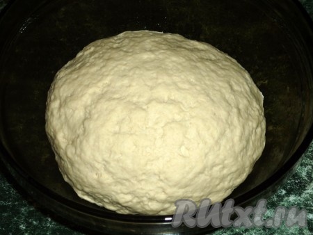 Когда опара подойдёт, добавляем в неё растительное масло и соль, перемешиваем. Постепенно добавляем муку, каждый раз очень хорошо вмешивая её. Вначале перемешиваем тесто ложкой, а после того как оно начнёт собираться в ком, продолжаем замешивать руками, добавляя муку по мере необходимости. В общей сложности вымешивать тесто нужно 8-10 минут. При добавлении муки очень важно помнить, что тесто для беляшей должно получиться мягким, однородным, не липнущим к рукам. Муки может потребоваться как больше, так и меньше, главное - ориентироваться на консистенцию замешиваемого дрожжевого теста, а не указанное количество муки. Замешанное тесто кладём в миску, смазанную растительным маслом.