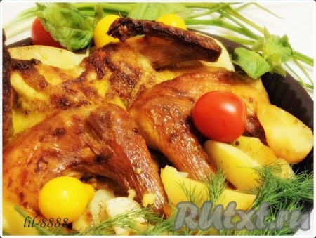 Курица, запеченная с пряностями