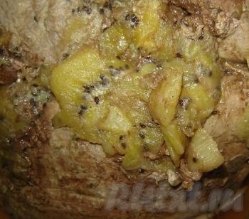 Свинину с киви можно подавать горячим, в качестве основного блюда или в полностью остывшем, в виде мясной нарезки.