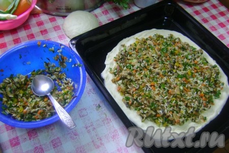 Смазав руки маслом, помяла тесто и разделила его на 2 колобка, один, чуть больше, - для основания пирога, другой поменьше. Раскатала колобок, который побольше, выложила пласт на смазанный маслом противень. Сверху выложила начинку.