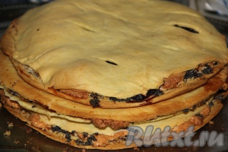  Таким образом у нас выйдет три цельных коржа.