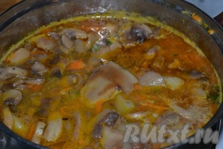 В кастрюле вскипятить 1,5-2 литра воды. Картошку, лук и морковку очистить. В закипевшую воду выложить нарезанную картошку и варить на небольшом огне минут 15 (до готовности картошки). Лук нарезать достаточно мелко, выложить его в сковороду, хорошо прогретую с растительным маслом, и обжарить на среднем огне, помешивая, до прозрачности лука (на это потребуется 3-4 минуты), затем добавить натёртую морковь и обжаривать овощи ещё 4-5 минут (до мягкости морковки). Одновременно на другой сковороде обжарить на растительном масле на среднем огне шампиньоны, нарезанные на пластины, в течение 10 минут. Когда картошка станет мягкой, добавить в кастрюлю обжаренные овощи и шампиньоны, посолить, поперчить, довести до кипения, а затем проварить на минимальном огне минут 5-7, в конце варки добавить нарезанную зелень (немного зелени оставить для подачи).