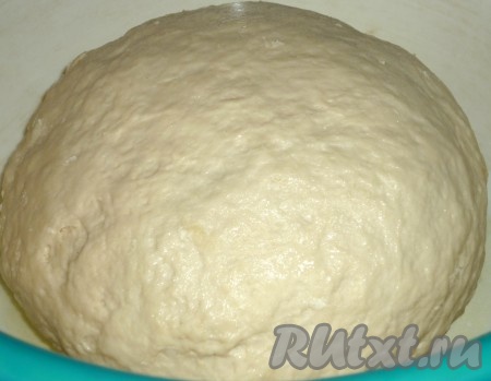 В запенившуюся опару добавить растительное масло и соль, перемешать и начать частями подсыпать муку, хорошо вмешивая её. Сначала тесто нужно перемешивать столовой ложкой, а когда оно станет вязким, добавляя муку по мере необходимости, продолжать замешивать его руками. Муку добавляйте, пока тесто не перестанет липнуть к рукам, но при этом оно должно оставаться мягким, не крутым. Миску с замешанным тестом накрыть полотенцем и поставить в тёплое место примерно на 1 час.