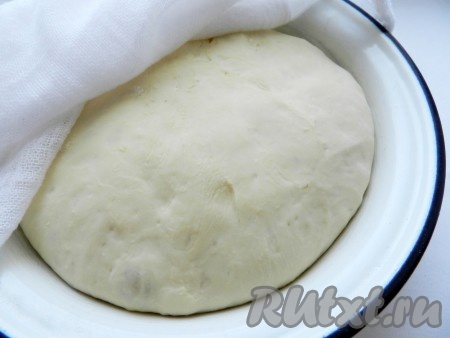 По этому же рецепту можно приготовить тесто без хлебопечки, как обычное дрожжевое тесто. Для этого нужно развести сухие дрожжи в тёплой воде (температура воды примерно 38-40 градусов) с сахаром, дать дрожжам подойти. Затем смешать воду с дрожжами, муку и соль, замесить тесто, накрыть чистым полотенцем и поставить в тёплое место для подъёма на 1-1,5 часа.