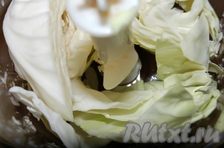 Ломти капусты поместить в блендер.
