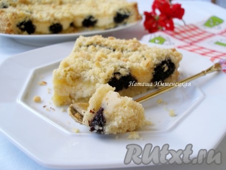 Творожно-маковый пирог, приготовленный на песочном тесте, получается необыкновенно вкусным, нежным и очень аппетитным. Съев один кусочек этой выпечки, невозможно удержаться и не съесть ещё один кусочек.