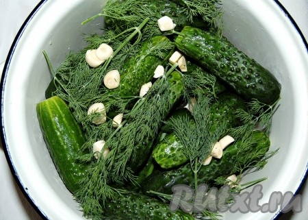 Затем выложить подготовленные огурцы. Снова пересыпать укропом и порезанным чесноком.