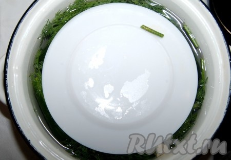 Накрыть огурцы тарелкой и вынести в прохладное место (в холодильник).