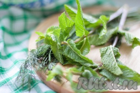 Тем временем укроп и листья мяты вымыть, обсушить и измельчить. 