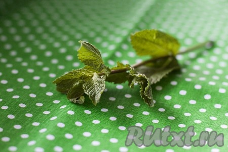 Разберите мяту на листики и мелко нашинкуйте ее.