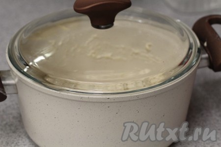 Накрыла крышкой (можно пленкой) и оставила в покое при комнатной температуре на 8-12 часов или на ночь.
