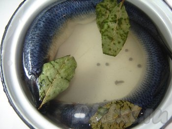 Солим сельдь