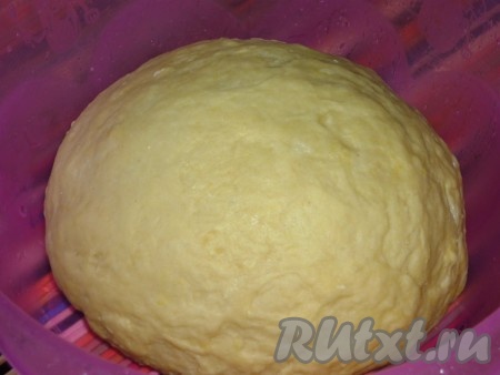 Муку просеять в миску. Добавить щепотку соли, перемешать. Соединить молоко, растопленное сливочное масло и яйцо, вылить жидкие&nbsp;компоненты в муку и замесить тесто, вымешивать в течение 10 минут.&nbsp;Вымешанное тесто положить в пакет и оставить&nbsp; на 30 минут для отдыха.
