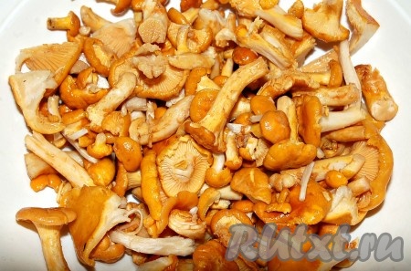 Лисички как следует перебрать, замочить в холодной воде на 30 минут, чтобы отошла вся грязь (иголки, земля, песок).
