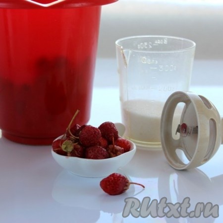 Ягоды вымыть, перебрать, добавить сахар и взбить блендером до пюре.
