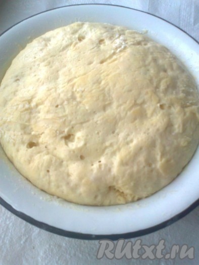 Дрожжевое тесто для пирога с вишней мы будем делать на кефире. Для этого надо смешать просеянную муку с сухими дрожжами, влить кефир, добавить 2 яйца, сахар, соль и замесить тесто. Тесто не должно быть очень крутым. В конце замеса добавить 4 столовые ложки растительного масла и еще немного помесить. Накрыть миску с тестом крышкой или пищевой пленкой и оставить для подъема в холодильнике на 3,5 часа или на ночь, что очень удобно, если готовить пирог на следующий день.