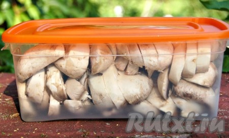 Как заморозить шампиньоны