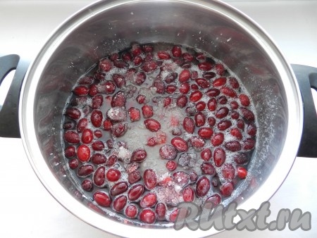 Добавить к ягодам воду и поставить варить на медленный огонь, периодически перемешивая, не давая сахару подгореть. По мере нагревания сахар будет растворяться. Таким образом довести кизиловое варенье до кипения и варить 5 минут, снимая пену. Затем снять варенье с огня и оставить до полного остывания.