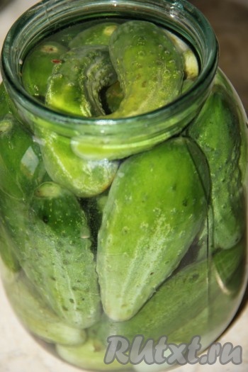 В банку набрать воды из фильтра или крана.
