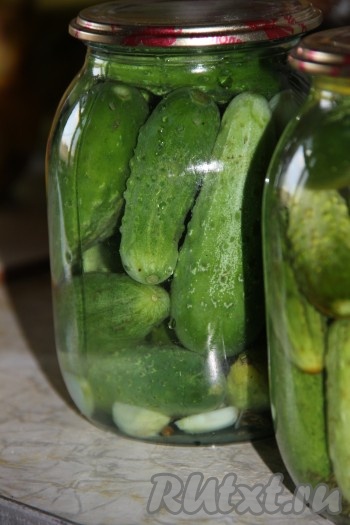 Огурцы вымыть и замочить в холодной воде на 2 часа. В стерилизованную банку налить уксус, добавить зонтик укропа, перец, чеснок, сахар и соль. Утрамбовать банку огурцами.