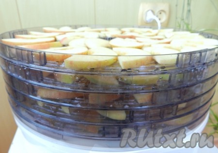 Установить секции с яблоками в электросушилку.