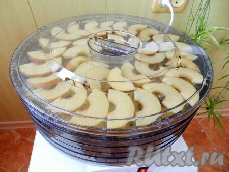 Закрыть крышку и включить электросушилку. Время сушки яблок зависит от их сочности и толщины нарезки. В любом случае это не менее шести часов.