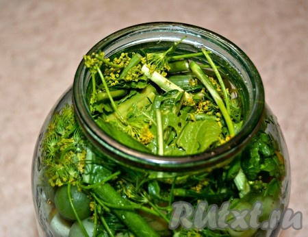  Сверху прикрыть помидоры укропом и зеленью.