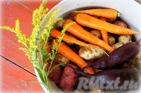 Свежие овощи тщательно вымыть щёткой.
