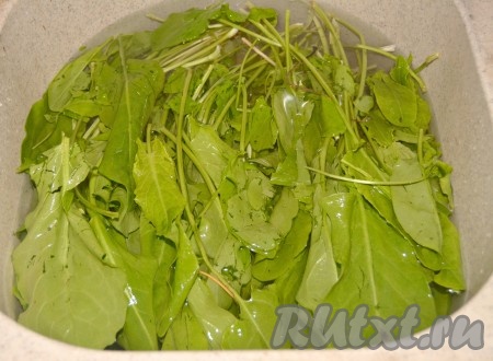 Щавель перебрать, стебли выбросить (они грубоватые), оставить только листья. Листья щавеля замочить в большом количестве холодной воды. Лучше всего это сделать в раковине. Оставить на 10 минут.