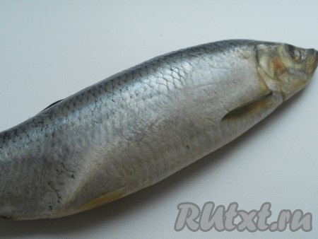 Сельдь нужно выбирать слабосоленую, крупную (450-500 грамм).
