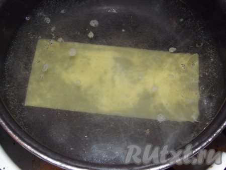 Листы лазаньи я отваривала в подсоленной воде по 1 штучке, но не до готовности, а так чтобы их можно было свернуть.