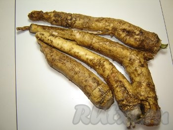 Корни хрена