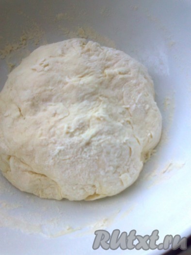 В глубокую посуду&nbsp; всыпать соль, соду, добавить холодный кефир. Размешать. Оставить на пару минут, до появления пены. Добавить просеянную муку. Замесить тесто. Оно получится мягкое. Если тесто липкое, можно подсыпать&nbsp; муки, но не много. Тесто должно оставаться мягким.
