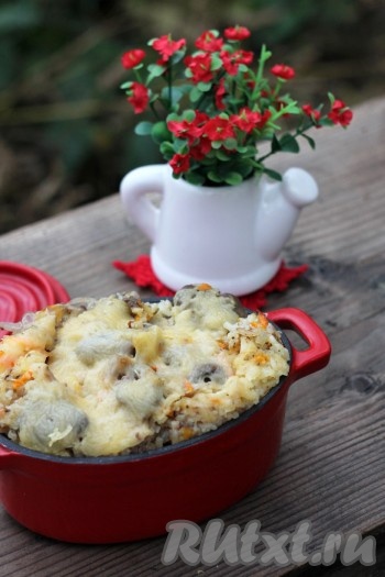 По прошествии времени достать из духовки вкусную, сытную запеканку из куриной печени с рисом, разложить по тарелкам и подать в горячем виде к столу.