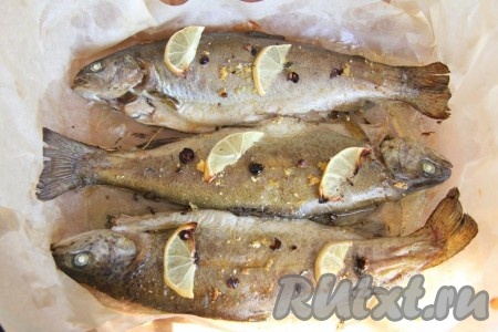 Запекать форель с лимоном в разогретой духовке 15-20 минут при температуре 180 градусов.