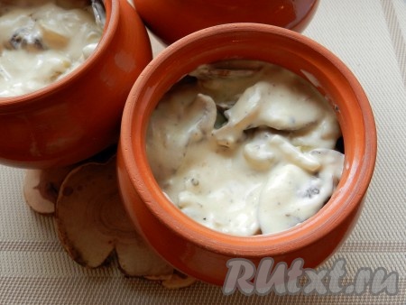 Выложить грибной соус в горшочки. Горшочки поставить в холодную духовку, установить температуру 200 градусов и время 1 час.