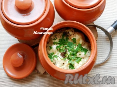 Вкусное и ароматное жаркое по-киевски готово.