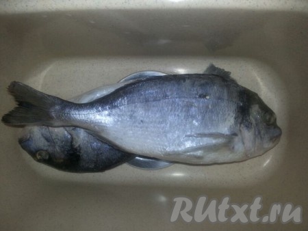 Дорадо моем, убираем все внутренности и жабры, счищаем чешую, промываем и обсушиваем