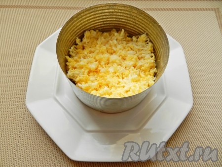 Я выкладывала салат в специальную форму, можно просто выложить в глубокую тарелку. Салат выкладывать слоями: рыбные консервы, яйца, яблоки, сыр. Каждый слой, кроме яблок, покрывать сеточкой из майонеза. Форму с салатом убрать в холодильник на 1 час, затем кольцо снять.