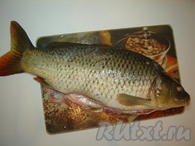 Сперва очистите рыбу от чешуи. Начинаем чистку от хвоста, т.е. против чешуи. Далее карпа необходимо выпотрошить:&nbsp; удалить все внутренности, включая жабры, &nbsp;промыть брюшную полость и удалить глаза.