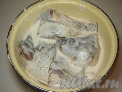 Залейте карпа сметаной из расчета 200–300 грамм сметаны на 2 кг рыбы. Можно добавить одну, две столовые ложки меда. &nbsp;Сметану и мед тщательно перемешайте. Мед при запекании придаст рыбе золотистый цвет.