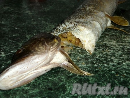 Подготовленным фаршем наполнить щучью шкуру.
