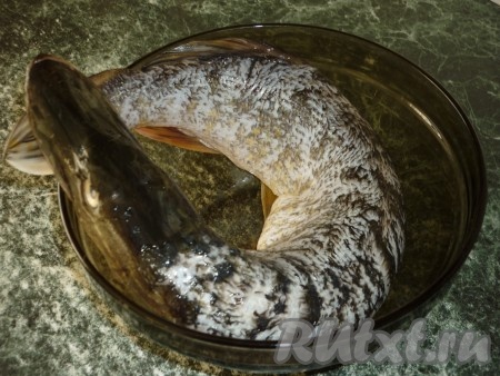 Щуку помыть, очистить от чешуи, удалить жабры. 
