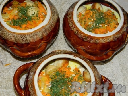 Отдельно соединяем сметану с 250-300 миллилитрами воды, добавляем соль, специи, перемешиваем, разливаем по горшочкам, практически полностью покрывая пельмени. Можно добавить немного сушёной зелени. Перемешиваем, закрываем горшочки с пельменями крышками и ставим в холодную духовку, включаем её на 200 градусов. Готовим пельмени 25 минут.